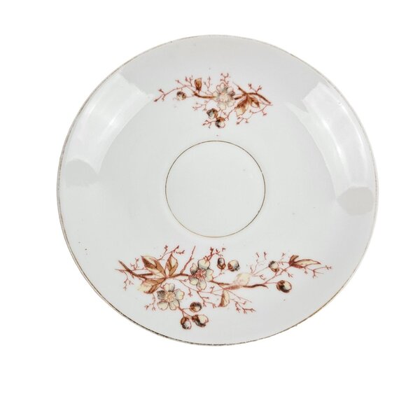 Marx And Gutherz Carlsbad Austria Ceramic Tea Cup Saucer Floral 1459 White Brown - Picture 5 of 9